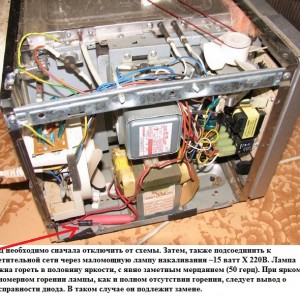 Testing the Diode in a Microwave