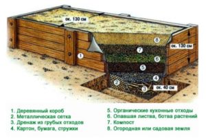 как сделать тёплые грядки для огурцов